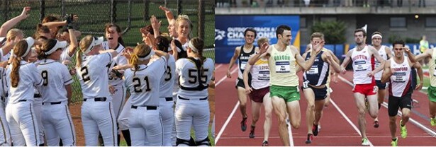 A softball team celebrating in decorated uniforms, and a middle-distance track race at a championship meet